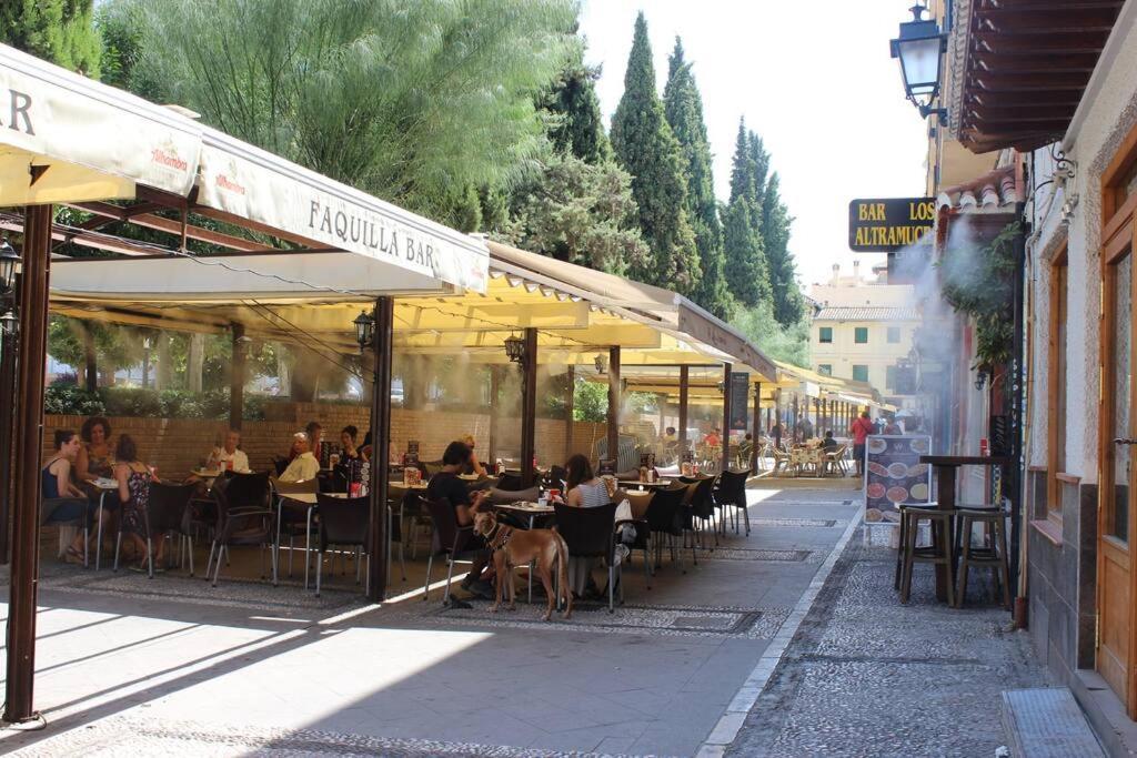 Central, Near The Alhambra, Quiet And Autentic! Appartement