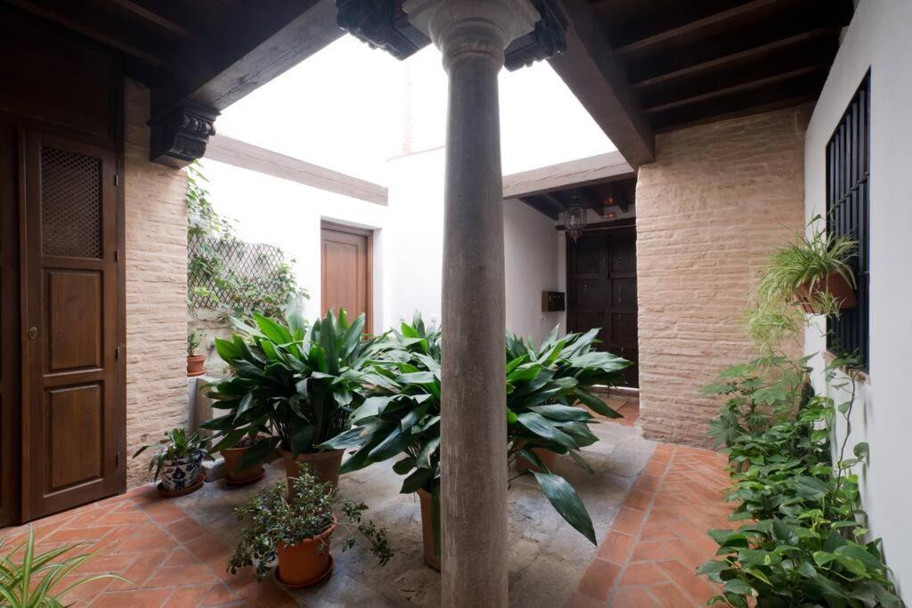Central, Near The Alhambra, Quiet And Autentic! Appartement Granada
